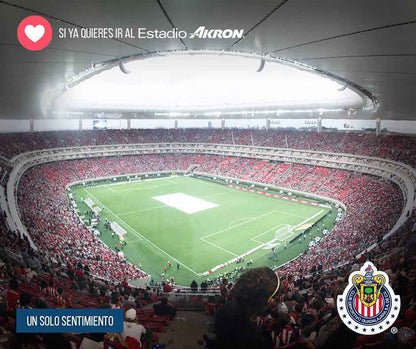 Travel to the Chivas vs Santos match - Saturday, March 4, 2023