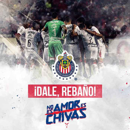 Travel to the Chivas vs Santos match - Saturday, March 4, 2023